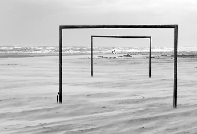 她的职业生 她的职业生