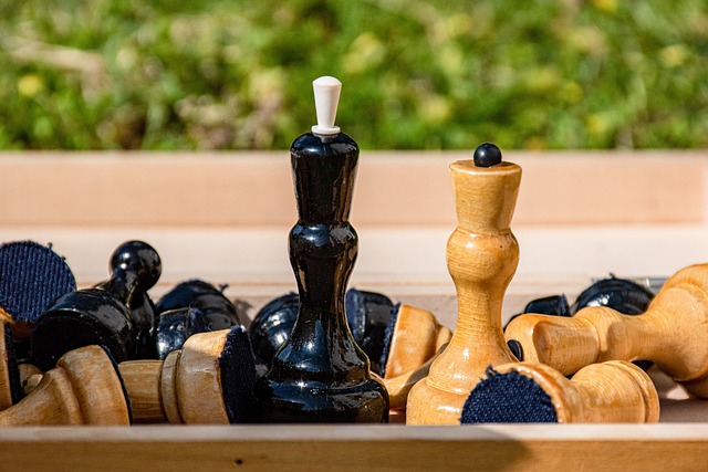 的游戏观赏 的游戏观赏