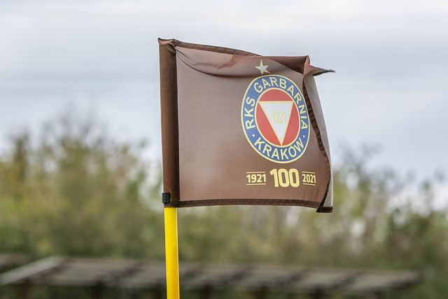 又为何吸引 又为何吸引