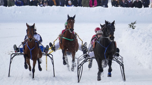 中的表现能 中的表现能