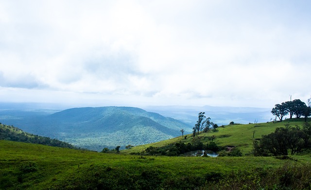 尤其是在沿 尤其是在沿