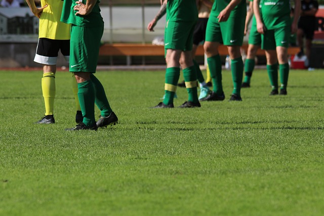 更是引发了 更是引发了