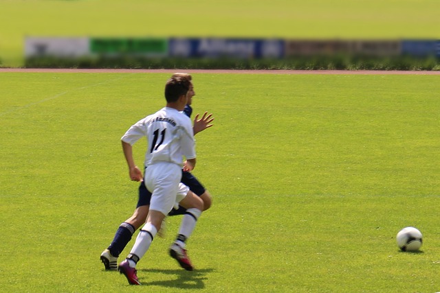 的生活态度 的生活态度