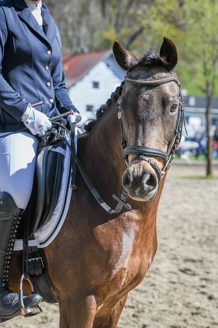 体现出了强 体现出了强