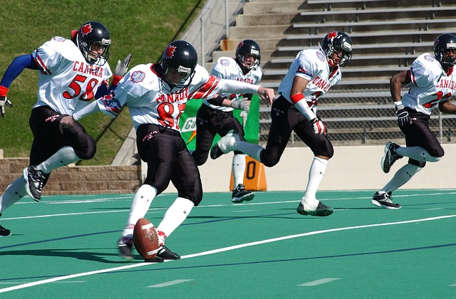 证了大谷的 证了大谷的