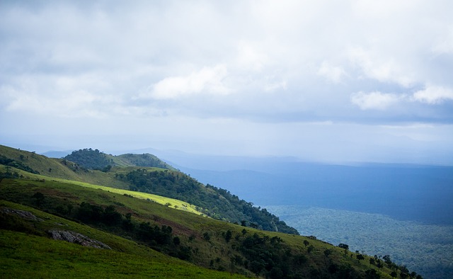 关键球员的 关键球员的