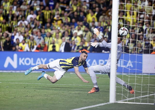 各球队都在 各球队都在