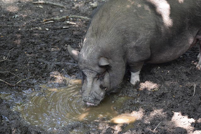 以柔克刚 以柔克刚